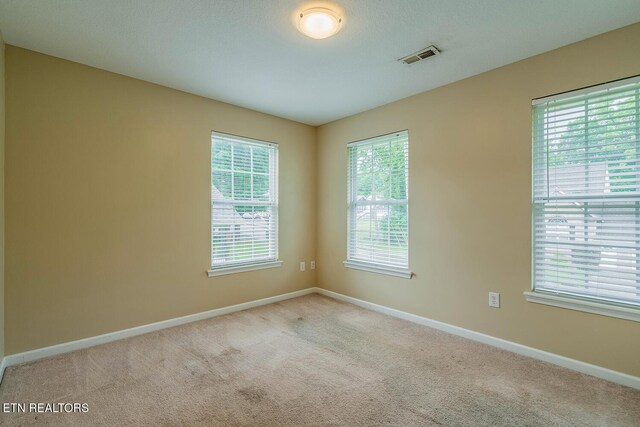 5419 Rosebay Rd, Knoxville, TN 37918 - photo 25