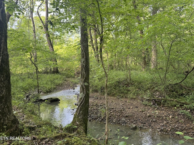 1440 Dry Fork Valley Rd, Ten Mile, TN 37880