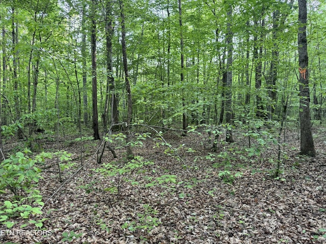 1440 Dry Fork Valley Rd, Ten Mile, TN 37880