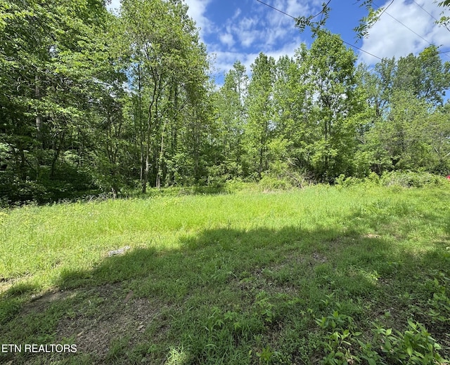 1440 Dry Fork Valley Rd, Ten Mile, TN 37880