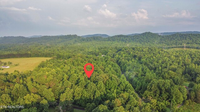 1440 Dry Fork Valley Rd, Ten Mile, TN 37880 - photo 4