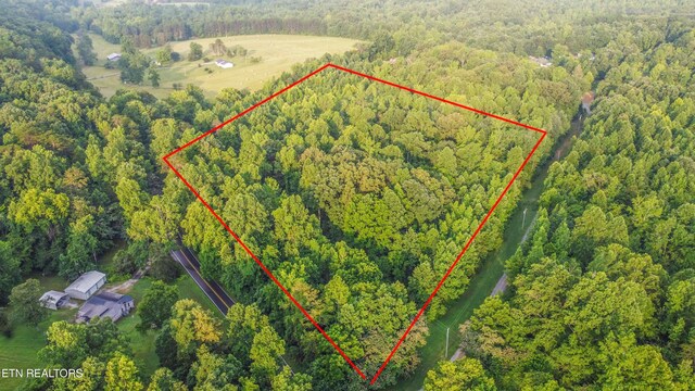 1440 Dry Fork Valley Rd, Ten Mile, TN 37880 - photo 7