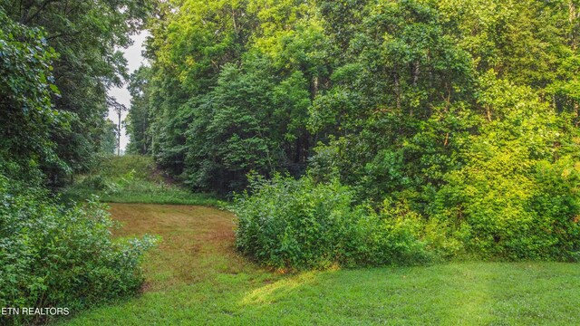 1440 Dry Fork Valley Rd, Ten Mile, TN 37880 - photo 8