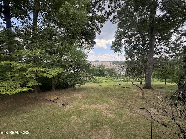 111 W Magnolia Ln, Oak Ridge, TN 37830 - photo 13