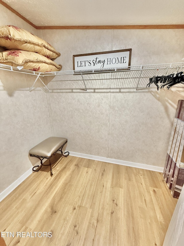 spacious closet featuring wood finished floors