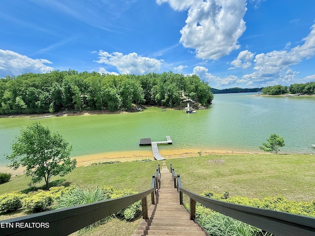 water view featuring a boat dock
