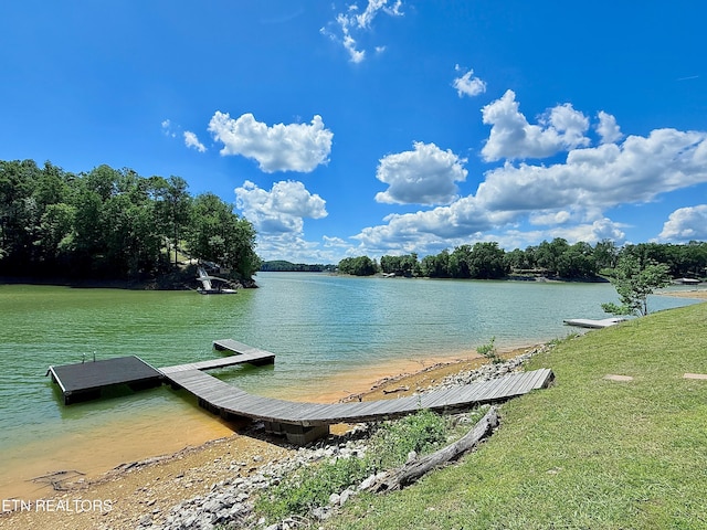 water view with a floating dock