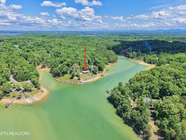 drone / aerial view of a forest and a nearby body of water