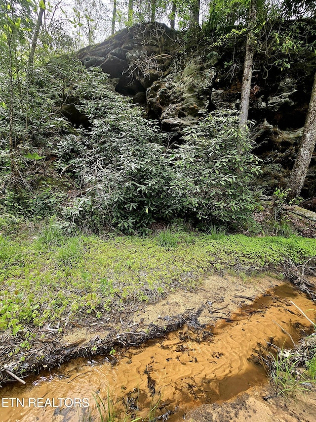112 Auda Story, Jamestown, TN 38556 - view of undeveloped land