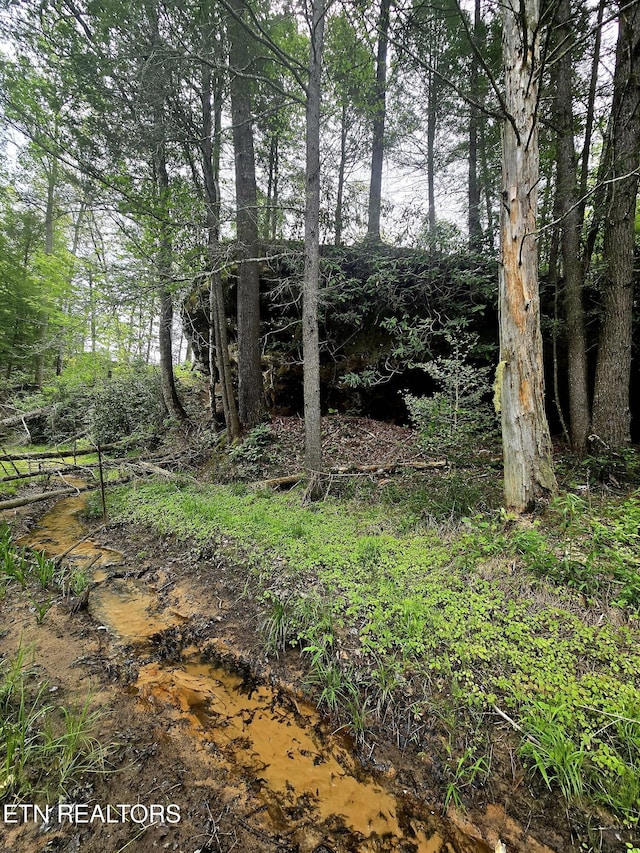 112 Auda Story, Jamestown, TN 38556 - view of undeveloped land