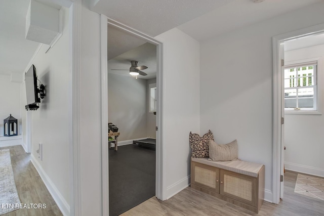 133 Nebraska Ave, Oak Ridge, TN 37830 - corridor featuring light wood finished floors and baseboards