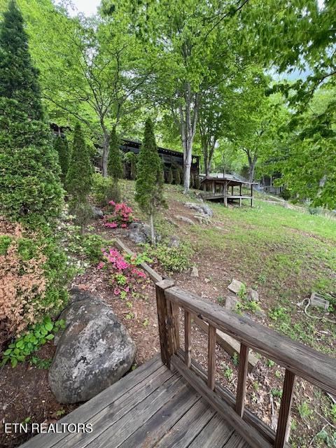 339 Flat Hollow Marina Rd, Speedwell, TN 37870 - photo 37