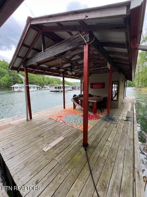 339 Flat Hollow Marina Rd, Speedwell, TN 37870 - photo 41