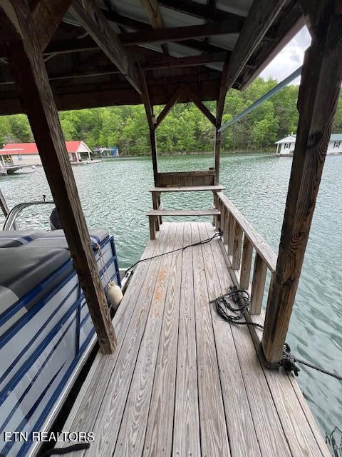 339 Flat Hollow Marina Rd, Speedwell, TN 37870 - photo 42