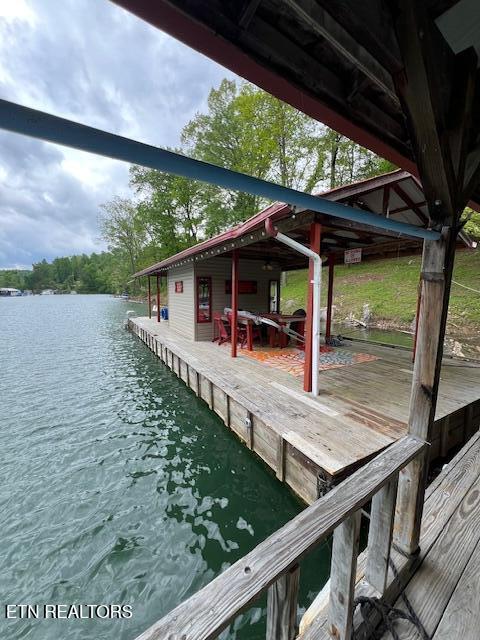 339 Flat Hollow Marina Rd, Speedwell, TN 37870 - photo 44