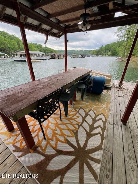 339 Flat Hollow Marina Rd, Speedwell, TN 37870 - photo 45