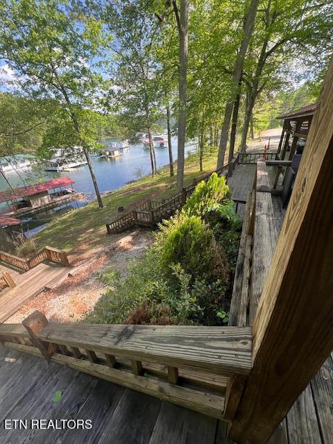 339 Flat Hollow Marina Rd, Speedwell, TN 37870 - photo 20