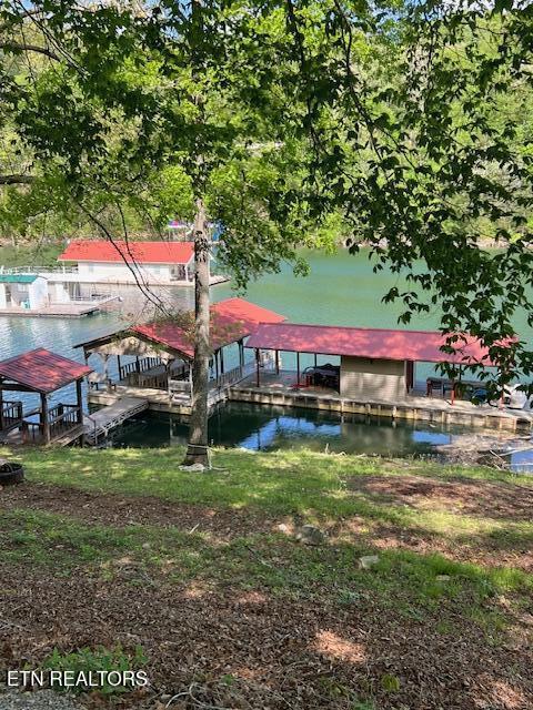 339 Flat Hollow Marina Rd, Speedwell, TN 37870 - photo 2