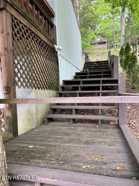 339 Flat Hollow Marina Rd, Speedwell, TN 37870 - photo 27