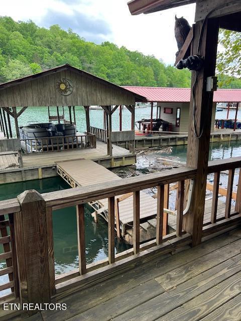 339 Flat Hollow Marina Rd, Speedwell, TN 37870 - photo 34