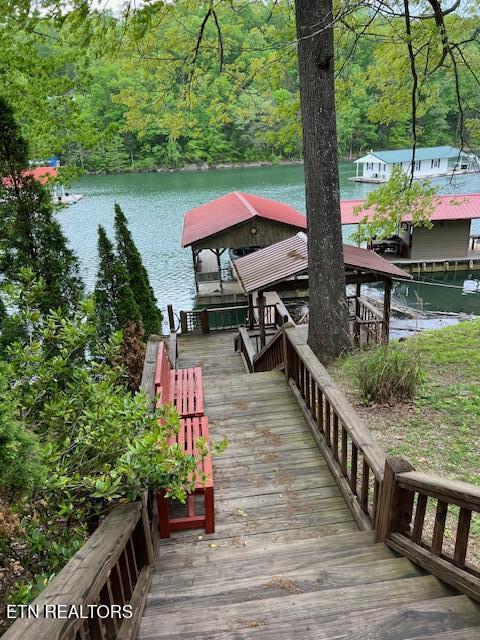339 Flat Hollow Marina Rd, Speedwell, TN 37870 - photo 33