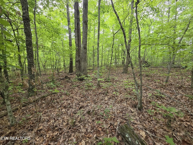 2 Cumberland Lakes Dr, Monterey, TN 38574 - photo 1