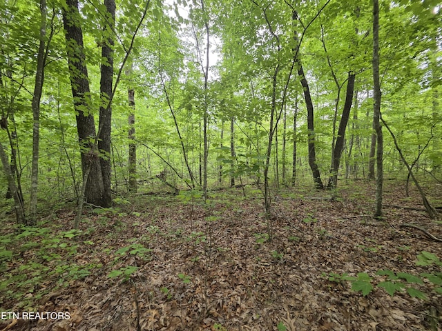 2 Cumberland Lakes Dr, Monterey, TN 38574 - photo 2
