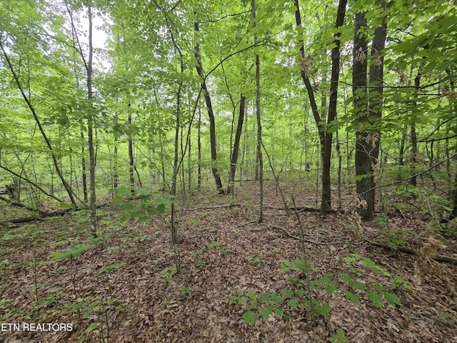 2 Cumberland Lakes Dr, Monterey, TN 38574 - photo 3