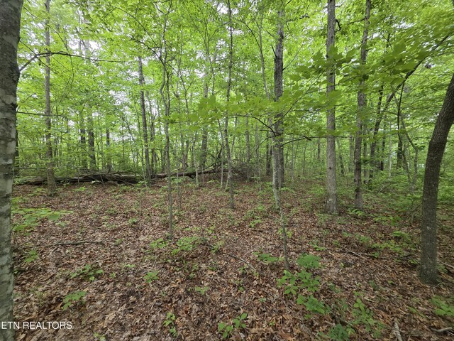 2 Cumberland Lakes Dr, Monterey, TN 38574 - photo 4