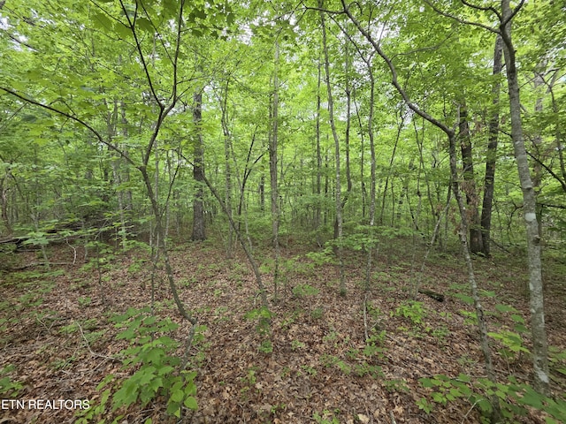 2 Cumberland Lakes Dr, Monterey, TN 38574 - photo 8