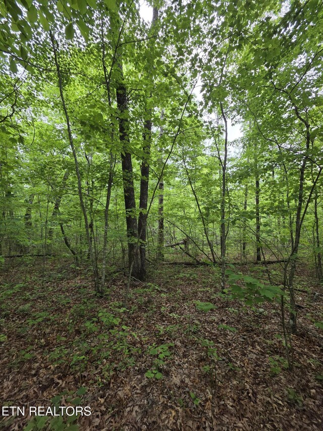 2 Cumberland Lakes Dr, Monterey, TN 38574 - photo 7
