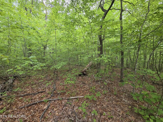2 Cumberland Lakes Dr, Monterey, TN 38574 - photo 12