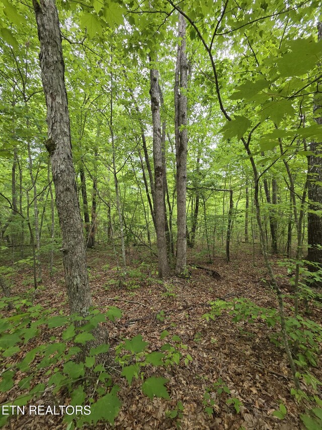 2 Cumberland Lakes Dr, Monterey, TN 38574 - photo 9