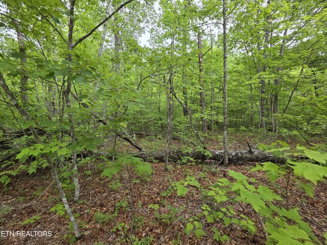 2 Cumberland Lakes Dr, Monterey, TN 38574 - photo 13