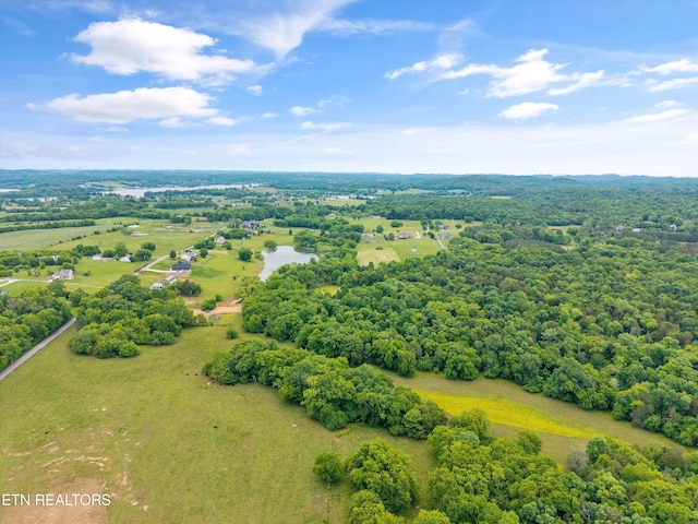 4181 Lowes Ferry Rd, Louisville, TN 37777 - photo 3