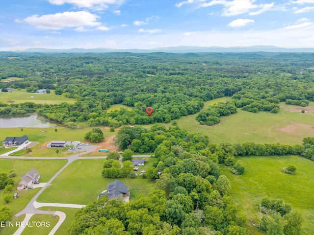 4181 Lowes Ferry Rd, Louisville, TN 37777 - photo 1