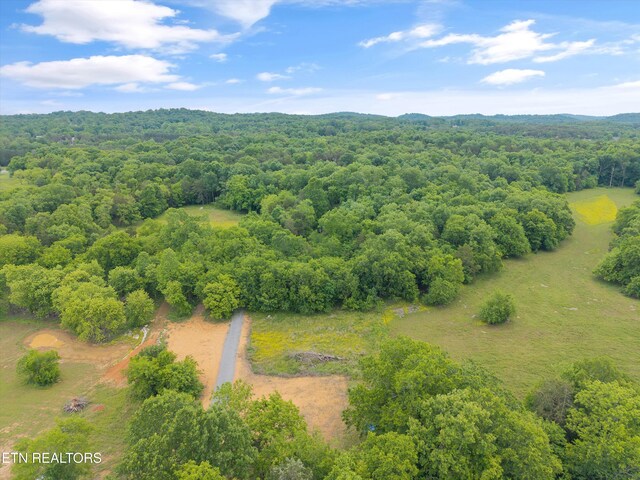4181 Lowes Ferry Rd, Louisville, TN 37777 - photo 10
