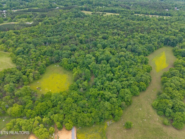 4181 Lowes Ferry Rd, Louisville, TN 37777 - photo 12