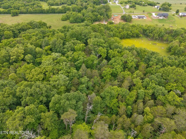 4181 Lowes Ferry Rd, Louisville, TN 37777 - photo 13