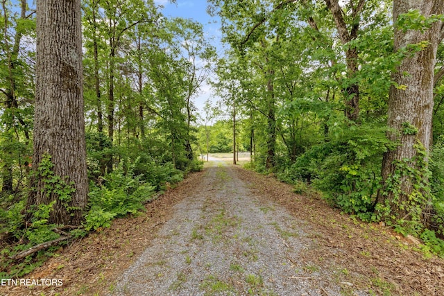 4181 Lowes Ferry Rd, Louisville, TN 37777 - photo 16