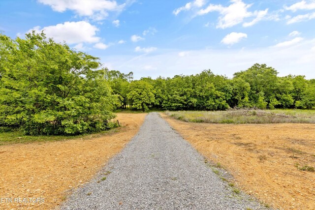 4181 Lowes Ferry Rd, Louisville, TN 37777 - photo 14