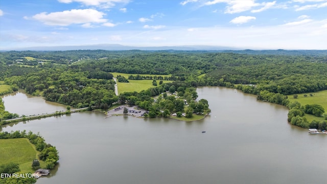 4181 Lowes Ferry Rd, Louisville, TN 37777 - photo 22