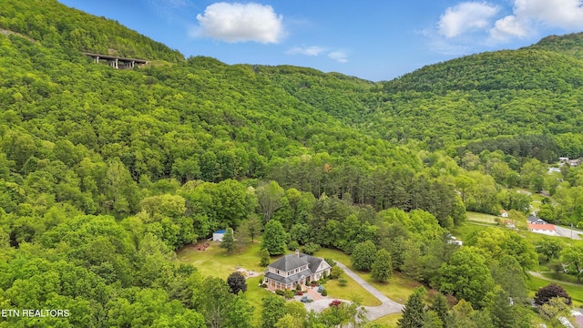 6005 Powell Valley Rd, Big Stone Gap, VA 24219 - drone / aerial view of a forest