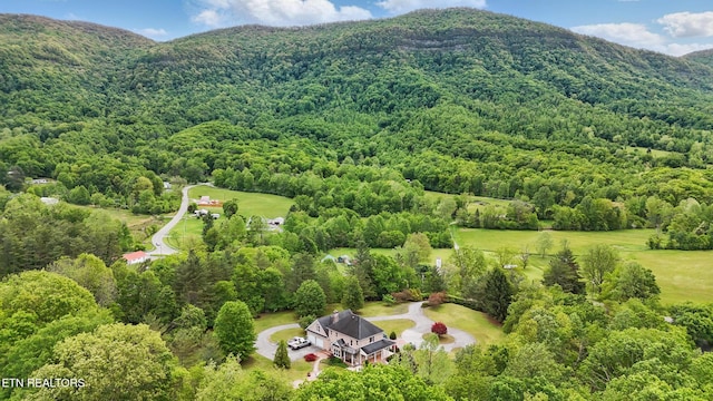 6005 Powell Valley Rd, Big Stone Gap, VA 24219 - bird's eye view of a heavily wooded area and a mountainous background