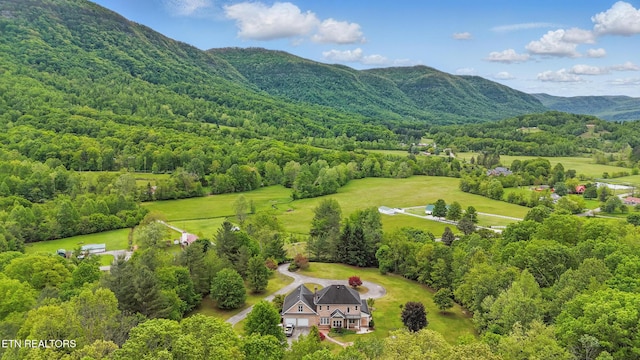 6005 Powell Valley Rd, Big Stone Gap, VA 24219 - aerial view of a forest and a mountainous background
