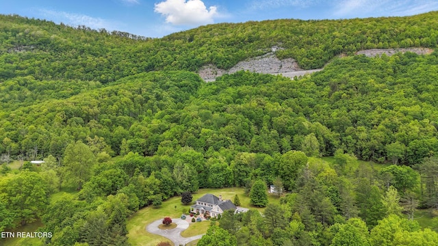 6005 Powell Valley Rd, Big Stone Gap, VA 24219 - bird's eye view of a forest