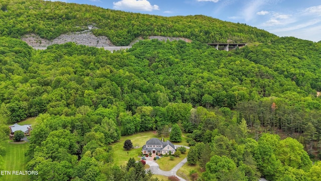6005 Powell Valley Rd, Big Stone Gap, VA 24219 - aerial view of property's location featuring a heavily wooded area