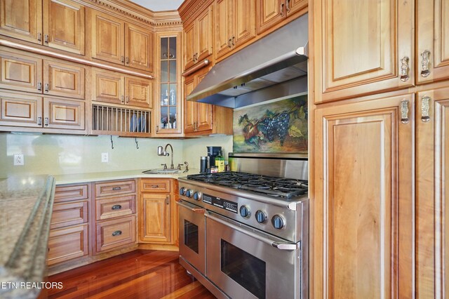 6005 Powell Valley Rd, Big Stone Gap, VA 24219 - kitchen with range with two ovens, under cabinet range hood, a sink, glass insert cabinets, and tasteful backsplash