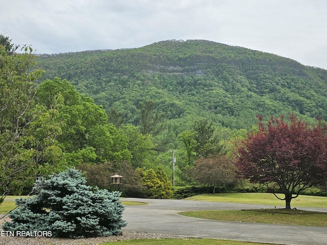 6005 Powell Valley Rd, Big Stone Gap, VA 24219 - mountain view featuring a forest
