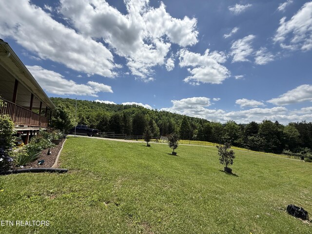 332 Tomlinson Rd, Pennington Gap, VA 24277 - view of green lawn featuring a wooded view